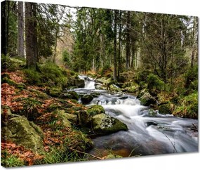 Vászonkép 40x30 Tájkép