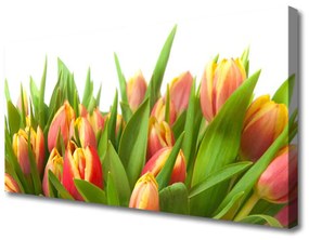 Vászonkép falra Tulipán virágok Plant 100x50 cm