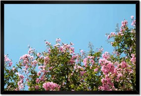 Poszterek keretben 60x40 Virágok