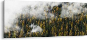 Egy erdő képe a felhők között (120x50 cm)