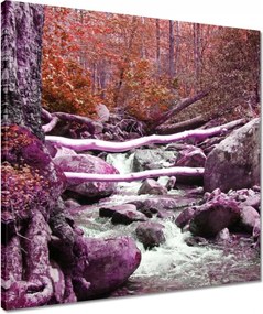 Vászonkép 50x50 Lila zuhatag