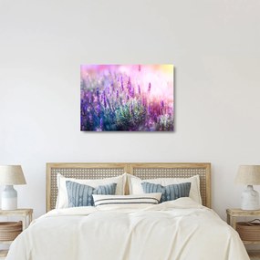 Kép - Levendula a csillogó napban (üvegen) (70x50 cm)