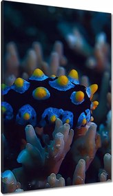 Vászonkép 80x120 Korallzátony hal