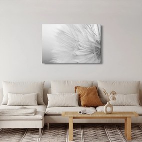 Kép - Pitypang (90x60 cm)