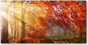 Fotó vászonkép edzett üveg Őszi erdő 140x70