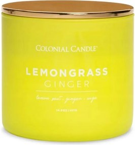 Pop Of Color Lemongrass Ginger illatgyertya