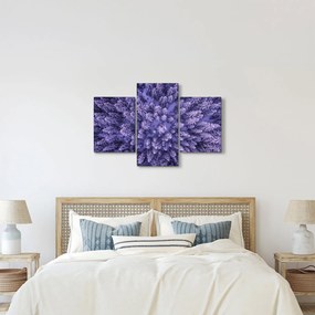 Havas fák képe (90x60 cm)