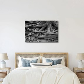 Kép - A fa gyökerei (90x60 cm)