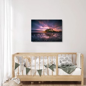 Egy fa a tengerparton képe (üvegen) (70x50 cm)