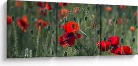 Kép - Rét mák virággal (órával) (90x30 cm)