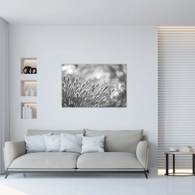 Kép - Bézs színű puha fű N⁰1 (90x60 cm)