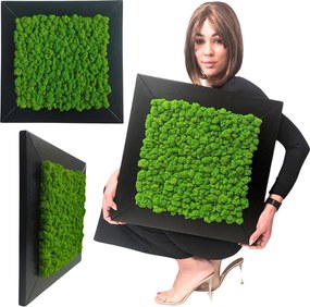 Vászonkép mohával, fa fekete keretben 50x50 nagy Élő Kép