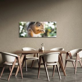 Mókus képe (120x50 cm)