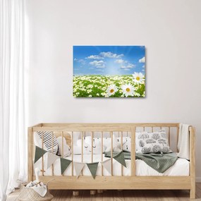A virágzó rét százszorszépekkel képe (üvegen) (70x50 cm)