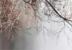 Fotótapéta fa ágak barna-szürke természet motívum fali dekoráció