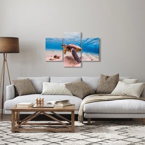 Teknős képe az óceánban (90x60 cm)