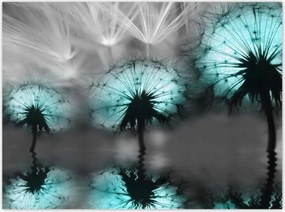 Poszterek 135x100 Türkiz pitypangok Víz