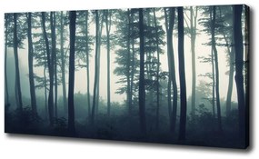Feszített vászonkép Forest a ködben oc-106280644