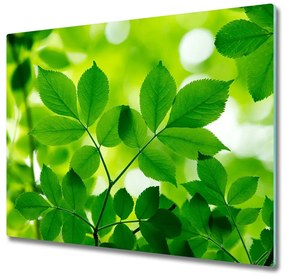 Üveg vágódeszka Zöld levelek 60x52 cm