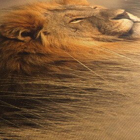 Kép - Etosha Nemzeti Park (150x105 cm)