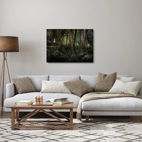 Kép - Titokzatos erdő (üvegen) (70x50 cm)