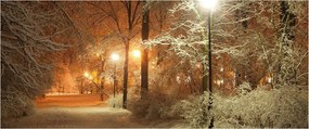 Kép - havas park (120x50 cm)