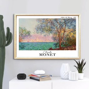 4262AHSMONET-001