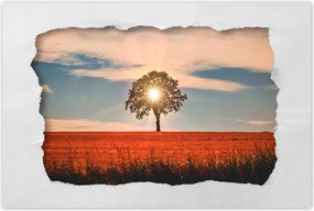 Poszterek 60x40 Kilátás Tájkép