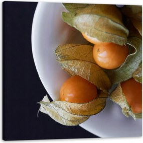 Vászonkép Konyha Mirabelki Konyha dekoráció 40x40 cm