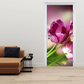 Fotótapéta ajtóra - Rózsaszín tulipán (95x205cm)