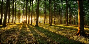 Fotó üvegkép Nap sugarai 140x70