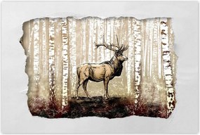 Poszter 60x40 Szarvas Nyírfa Erdő
