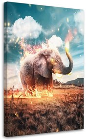 Gario Vászonkép Elefánt a lángokban - Alex Griffith Méret: 40 x 60 cm