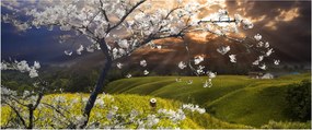 Kép - Virágzó fa az országban (120x50 cm)