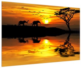 Afrikai tájkép és elefánt képe (90x60 cm)
