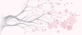 Kép - rózsaszín virágok (120x50 cm)