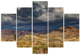 Kép - kaktuszok a természetben (150x105 cm)