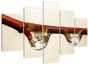 Vízcseppek a faágon képe (150x105 cm)