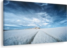 Mezőkép (90x60 cm)