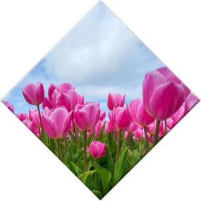 Vászonkép 56x56 Tulipánok Valentin napra