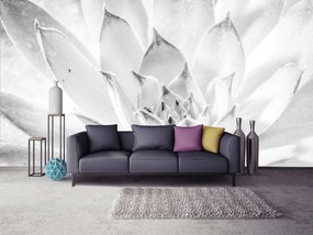 Fotótapéta - Lótusz virág (152,5x104 cm)