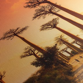 Kép - Naplemente a Baobab Alley-ben (órával) (90x30 cm)