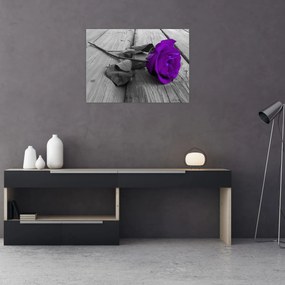 Üveg kép - Lila rózsa zöld szárral (70x50 cm)