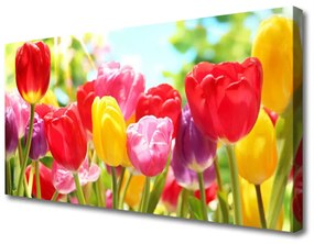 Vászonkép falra Tulipán virágok Plant 100x50 cm