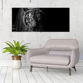 Egy vadtigris képe (120x50 cm)