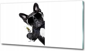 Fotó-kép edzett üveg Kutya martini 125x50