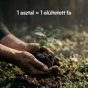 Állítható magasságú asztal Liftor Entry