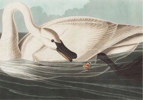 Fali fotótapéta Étkezőbe A természet harmóniája 208x146 Ragasztó