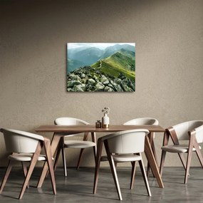Kép - Hegyi táj (70x50 cm)