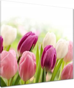 Vászonkép 90x90 Gyönyörű tulipánok